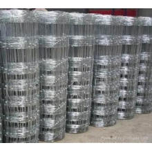 High Quality Field Fence